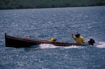 Pêcheurs martiniquais sur leur petite embarcation à moteur © Philip Plisson / Plisson La Trinité / AA05324 - Nos reportages photos - Métier