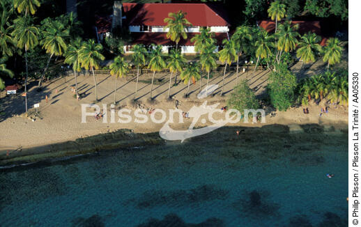 Petite plage dans les Antilles. - © Philip Plisson / Plisson La Trinité / AA05330 - Photo Galleries - Tree