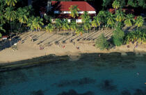 Petite plage dans les Antilles. © Philip Plisson / Plisson La Trinité / AA05330 - Nos reportages photos - Faune et Flore