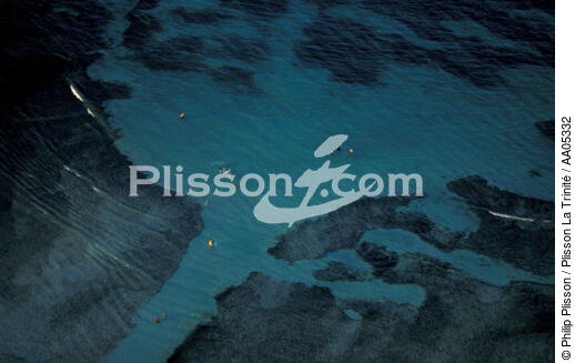 Fond blanc au Cap Macré [Martinique] - © Philip Plisson / Plisson La Trinité / AA05332 - Photo Galleries - Sea floor