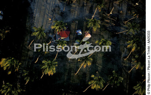 Campement sous les Palmiers. - © Philip Plisson / Plisson La Trinité / AA05333 - Nos reportages photos - Outre-Mer