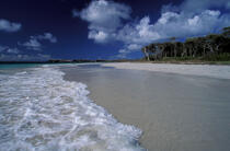 la plage d'Anse Trabaud © Philip Plisson / Plisson La Trinité / AA05365 - Nos reportages photos - Plage