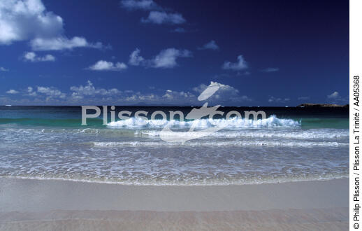Rouleau déferlant sur la plage de l'anse Trabaud - © Philip Plisson / Plisson La Trinité / AA05368 - Photo Galleries - Roller