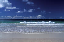 Rouleau déferlant sur la plage de l'anse Trabaud © Philip Plisson / Plisson La Trinité / AA05368 - Photo Galleries - Site of interest [Mart]