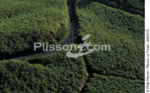 Routes et forêt vus du ciel - © Philip Plisson / Plisson La Trinité / AA05372 - Photo Galleries - Car