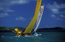 Une yole aux équipiers tout de jaune vêtus © Philip Plisson / Plisson La Trinité / AA05381 - Nos reportages photos - Equipage
