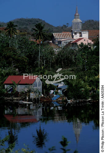 Village à la Martinique. - © Philip Plisson / Plisson La Trinité / AA05394 - Photo Galleries - Tree