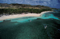 Windsurfeurs au Cap chevalier (Martinique) © Philip Plisson / Plisson La Trinité / AA05401 - Nos reportages photos - Site [Mart]