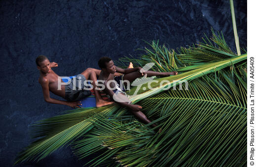 Transport de palmes de coco sur une barque. - © Philip Plisson / Plisson La Trinité / AA05409 - Nos reportages photos - Arbre
