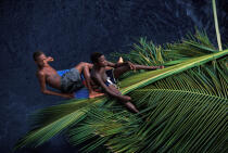 Transport de palmes de coco sur une barque. © Philip Plisson / Plisson La Trinité / AA05409 - Photo Galleries - Child