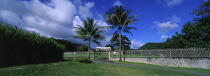 Grande propriété coloniale. © Philip Plisson / Plisson La Trinité / AA05458 - Nos reportages photos - Arbre