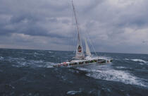 Enza, le catamaran de Peter Blake © Philip Plisson / Plisson La Trinité / AA05477 - Nos reportages photos - Catamaran de course