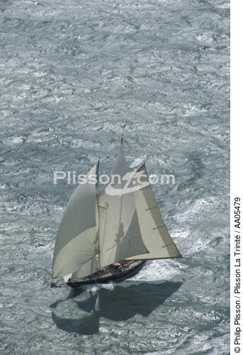 Mariette. - © Philip Plisson / Plisson La Trinité / AA05479 - Photo Galleries - Gaff schooner