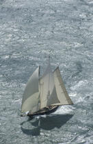 Mariette. © Philip Plisson / Plisson La Trinité / AA05479 - Photo Galleries - Traditional sailing
