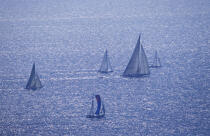12 mètres et class J sur le même bord. © Philip Plisson / Plisson La Trinité / AA05485 - Photo Galleries - Traditional sailing