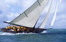 Class J dans le Solent. © Philip Plisson / Plisson La Trinité / AA05496 - Photo Galleries - Yachting