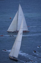 Shamrock V et Velsheda © Philip Plisson / Plisson La Trinité / AA05543 - Nos reportages photos - Yachting