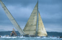 Velsheda et Shamrock V. © Philip Plisson / Plisson La Trinité / AA05558 - Photo Galleries - Classic Yachting