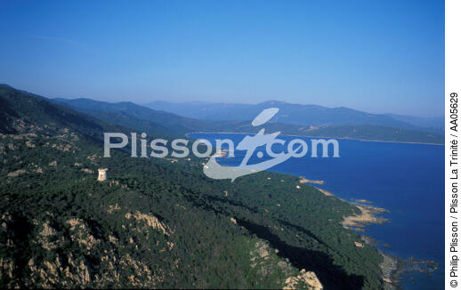 Côte du sud ouest de la Corse. - © Philip Plisson / Plisson La Trinité / AA05629 - Nos reportages photos - Ciel bleu