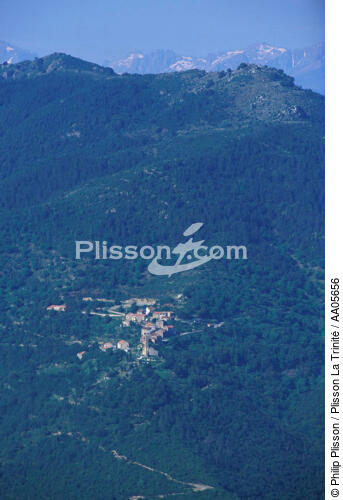 Village dans la montagne en Corse. - © Philip Plisson / Plisson La Trinité / AA05656 - Photo Galleries - Flora