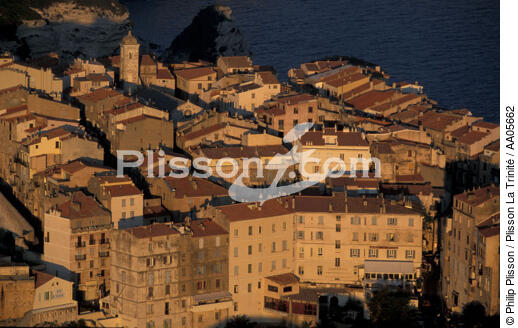 Bonifacio. - © Philip Plisson / Plisson La Trinité / AA05662 - Nos reportages photos - Ville [Corse]