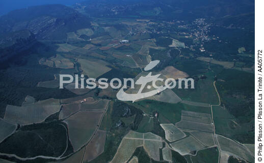 Champs en Corse. - © Philip Plisson / Plisson La Trinité / AA05772 - Nos reportages photos - Corse