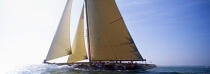 Class J. © Philip Plisson / Plisson La Trinité / AA05815 - Photo Galleries - Classic Yachting