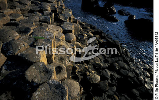 La Chaussée des Géants. - © Philip Plisson / Plisson La Trinité / AA05842 - Nos reportages photos - Irlande, l'île verte