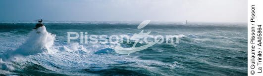 Coup de vent sur Ouessant. - © Guillaume Plisson / Plisson La Trinité / AA05864 - Photo Galleries - Jument [The]