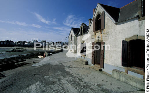 Sur les Quai à Sein. - © Philip Plisson / Plisson La Trinité / AA05912 - Photo Galleries - Sein [The Island of]