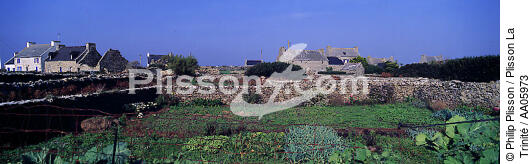 Ouessant, Finistère. - © Philip Plisson / Plisson La Trinité / AA05973 - Photo Galleries - Low wall