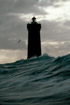 Le Four caché derrière la vague. © Philip Plisson / Plisson La Trinité / AA05995 - Photo Galleries - Gannet