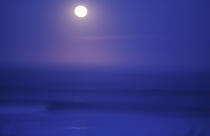 Aquitaine, couché de lune sur la côte, entre le sable des Landes et l'océan Atlantique. © Philip Plisson / Plisson La Trinité / AA06018 - Photo Galleries - Night