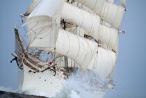 Sous le vent du Statsraad Lehmkuhl. © Philip Plisson / Plisson La Trinité / AA06046 - Photo Galleries - Three masts