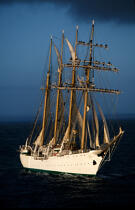Manoeuvre sur l'Esmeralda. © Philip Plisson / Plisson La Trinité / AA06047 - Photo Galleries - Four masts