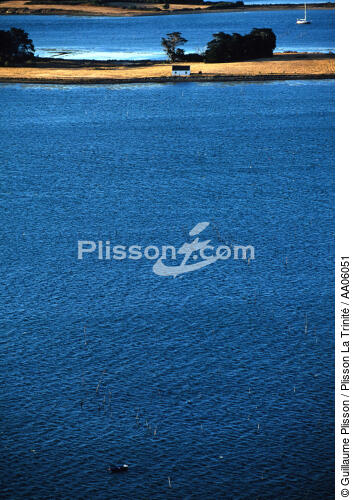 Island in the Gulf of Morbihan. - © Guillaume Plisson / Plisson La Trinité / AA06051 - Photo Galleries - Morbihan