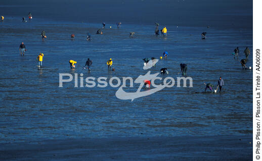 Pêche à pieds à Noirmoutier. - © Philip Plisson / Plisson La Trinité / AA06099 - Photo Galleries - Island [85]