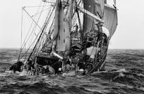 Le Belem. © Philip Plisson / Plisson La Trinité / AA06100 - Photo Galleries - Three-masted ship