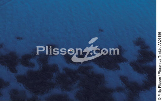 Kayac en Corse. - © Philip Plisson / Plisson La Trinité / AA06186 - Nos reportages photos - Sport nautique