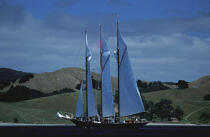 Shenandoah en Nouvelle-Zélande. © Philip Plisson / Plisson La Trinité / AA06202 - Photo Galleries - Three masts