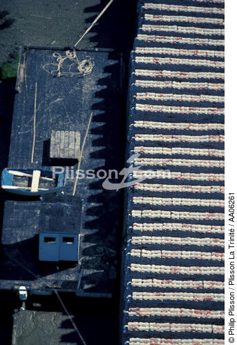 Ponton ostréïcole et parc à huitres - © Philip Plisson / Plisson La Trinité / AA06261 - Photo Galleries - Aquaculture