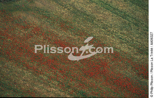 Champ fleuri dans le Gard. - © Philip Plisson / Plisson La Trinité / AA06327 - Photo Galleries - Gard