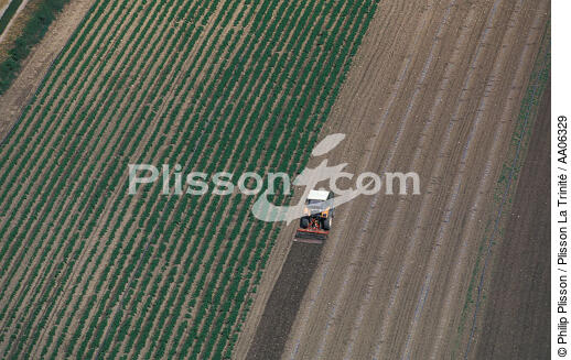 Agriculture dans le Gard. - © Philip Plisson / Plisson La Trinité / AA06329 - Photo Galleries - Land activity