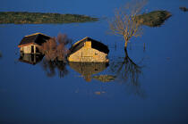 Innodation en Bretagne Sud. © Philip Plisson / Plisson La Trinité / AA06386 - Photo Galleries - Flood