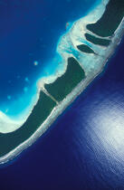 Tetiaora en Polynésie française. © Philip Plisson / Pêcheur d’Images / AA06417 - Photo Galleries - Sea floor