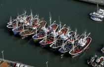 Bareaux de pêche dans le port de St Jean de Luz. © Philip Plisson / Plisson La Trinité / AA06429 - Nos reportages photos - Saint-Jean-de-Luz