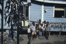 Séchage du poisson sur l'île de Grenade. © Philip Plisson / Plisson La Trinité / AA06436 - Nos reportages photos - Grenade [Ile de]