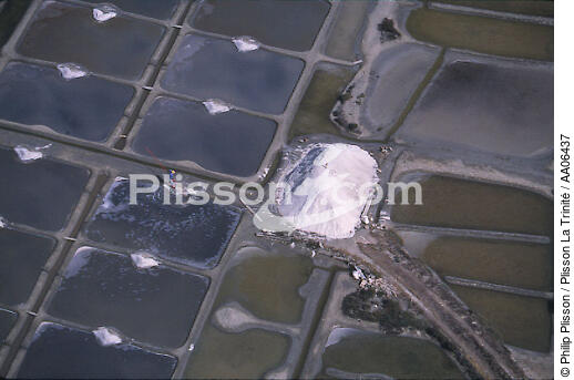 Les marais salants de Guérande. - © Philip Plisson / Plisson La Trinité / AA06437 - Photo Galleries - Job