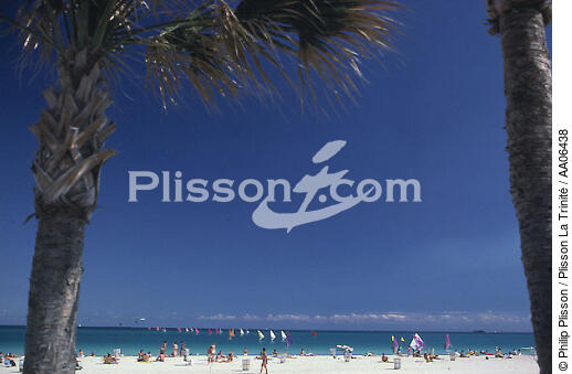 Miami beach. - © Philip Plisson / Plisson La Trinité / AA06438 - Nos reportages photos - Palmier