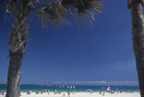 Miami beach. © Philip Plisson / Plisson La Trinité / AA06438 - Nos reportages photos - Palmier